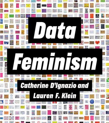 Redefiniendo el poder de los datos a través de la perspectiva del feminismo interseccional