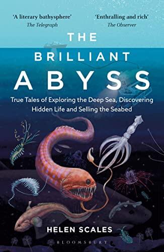 Más allá del abismo: Exploración, ciencia y la carrera por el letrero marino