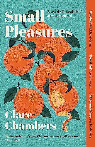 Small pleasures: Longlisted for the Women's Prize for Fiction