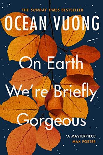 On Earth We're Briefly Gorgeous: The million-copy bestselling TikTok sensation about family, identity and survival