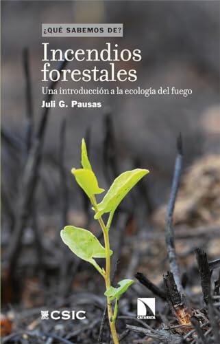 Más allá de las llamas: Comprendiendo la ecología del fuego en los bosques actuales