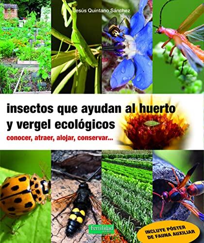 Aliados invisibles: Cómo transformar tu huerto con insectos benéficos