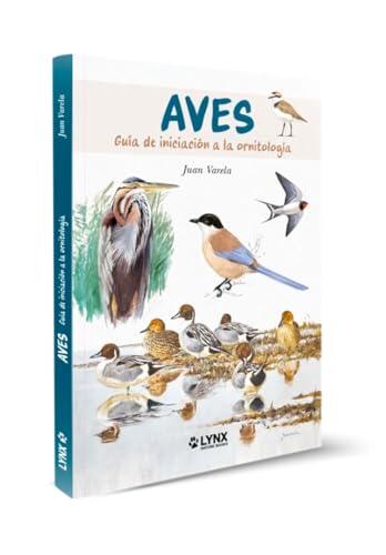 El arte de observar aves: todo lo que necesitas saber para empezar