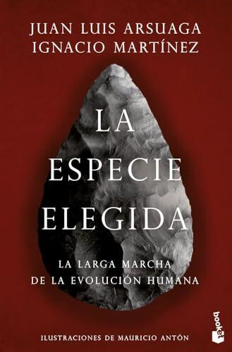 Comprender nuestros orígenes: un recorrido riguroso por la evolución humana