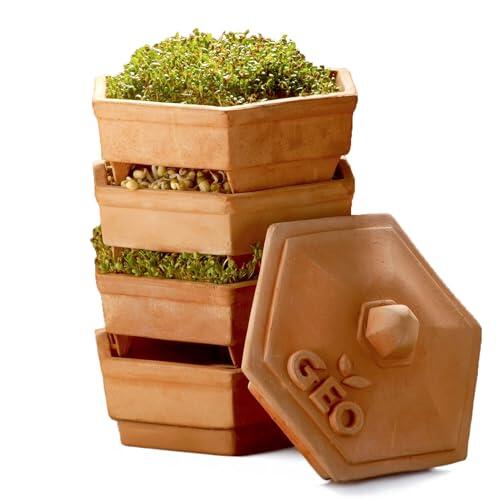El arte de cultivar brotes frescos en casa con el germinador de terracota GEO