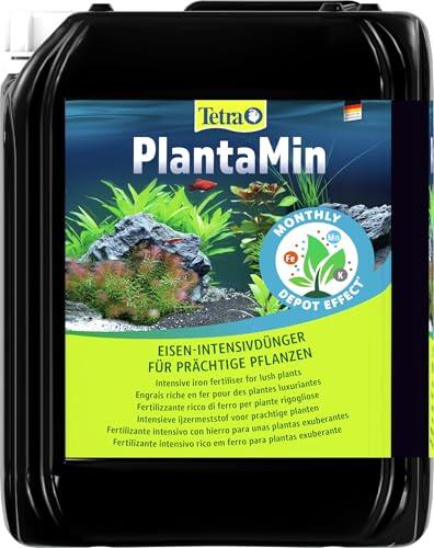 Guía completa sobre Tetra PlantaMin: Nutrición avanzada para acuarios plantados