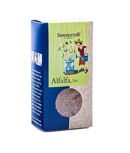 Cultiva salud en casa: Todo sobre las semillas de alfalfa para germinar