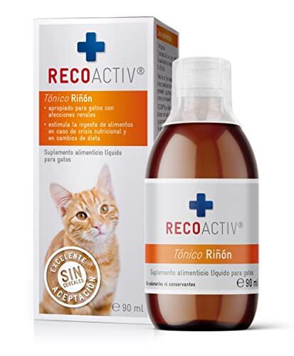 Cuidado renal avanzado para felinos: Todo sobre el tónico RECOACTIV