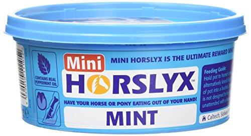 Bienestar Equino en Pequeño Formato: Análisis del Horslyx Minis Menta
