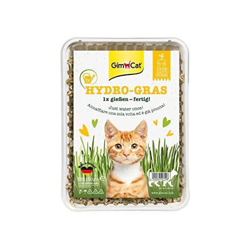 Solución práctica para la salud digestiva felina con GimCat Hydro-Gras