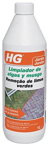 Cómo eliminar algas y musgos en el jardín de forma eficaz