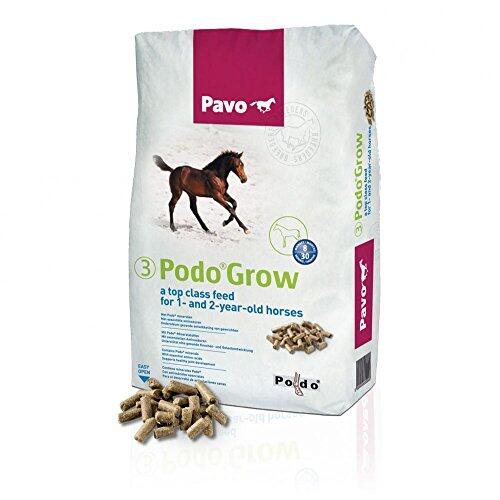 Nutrición equina especializada para el desarrollo óseo y muscular en caballos jóvenes