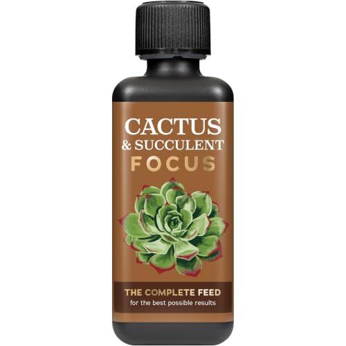 Guía Completa para el Cuidado de Cactus y Suculentas con Cactus and Succulent Focus