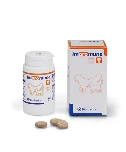 Optimiza la salud de tu mascota con Impromune de Bioiberica