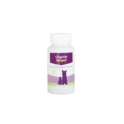 Salud Bucodental Canina y Felina: Todo Sobre GingiVet