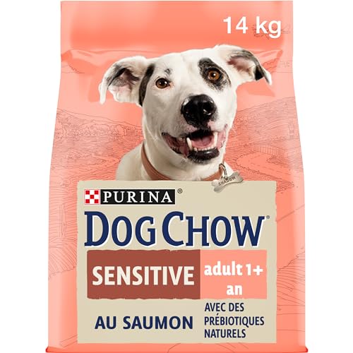 Purina Dog Chow Pienso para Perro Adulto con Digestión Sensible con Salmón, saco de 14kg