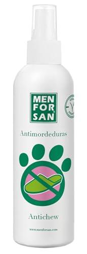 Cómo Proteger tus Muebles de las Mordeduras de tu Perro