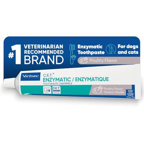 La salud dental de tu mascota: Guía definitiva para el cuidado oral canino y felino