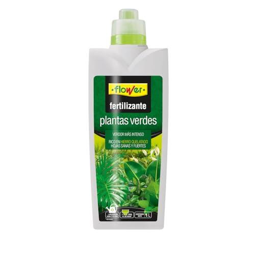 Guía Definitiva para el Cuidado de Plantas Verdes de Interior