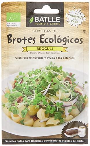 Cultiva tus propios brotes de brócoli ecológicos en casa de forma sencilla