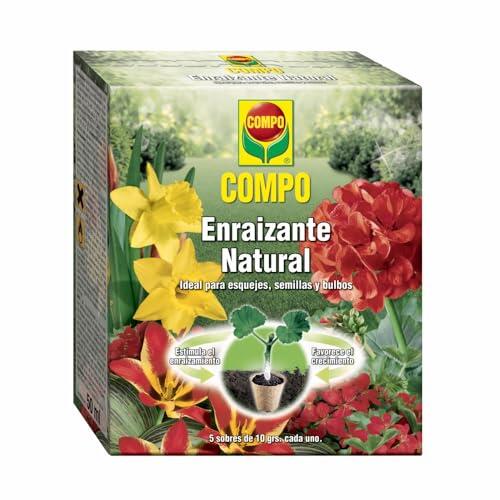 Secretos para un enraizamiento fuerte y natural en tus plantas