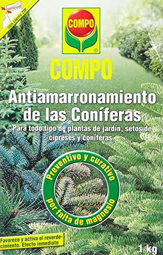 Cómo recuperar el verde intenso de tus coníferas y abetos