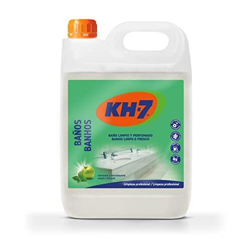 Análisis Detallado de una Solución de Limpieza para Baños