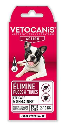 Protección Eficaz contra Parásitos para Perros Pequeños