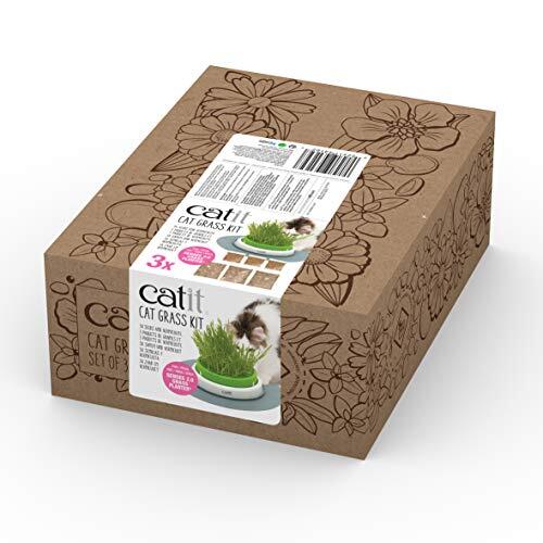 El kit de hierba gatera Catit: Cultivo interior y bienestar felino