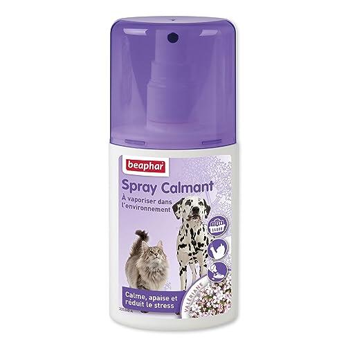 Beaphar Calming Spray Antiestres Natural para Perros y Gatos 125ml, Reduce Estrés y Ansiedad, Miedos, Nuevo Hogar, Ladridos, Ruidos Fuertes, Conflictos, Viajes, Mordeduras, 125ml