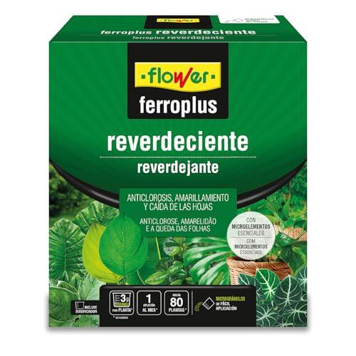 Cómo recuperar el verdor y la salud de tus plantas con Flower Ferro-Plus