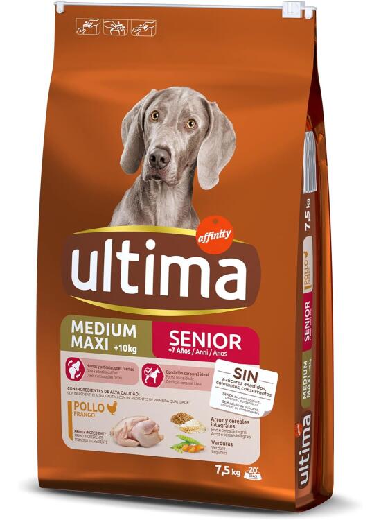 Nutrición Avanzada para Perros Senior