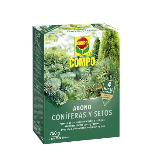 Cómo recuperar el verdor de tus coníferas y plantas perennes de forma duradera