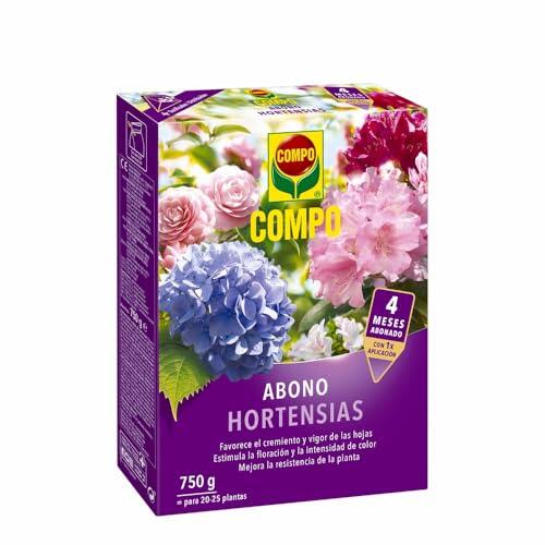 El secreto definitivo para unas hortensias y camelias deslumbrantes en casa