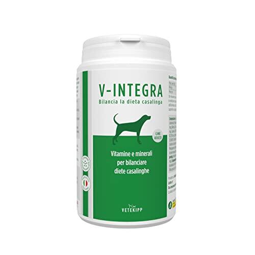 La guía definitiva para equilibrar la dieta BARF y casera en perros adultos