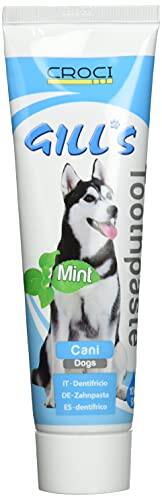 Guía Completa sobre la Pasta de Dientes para Perros Croci Gill'S con Menta