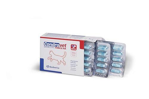 Cuidado articular felino: Todo lo que debes saber sobre Condrovet
