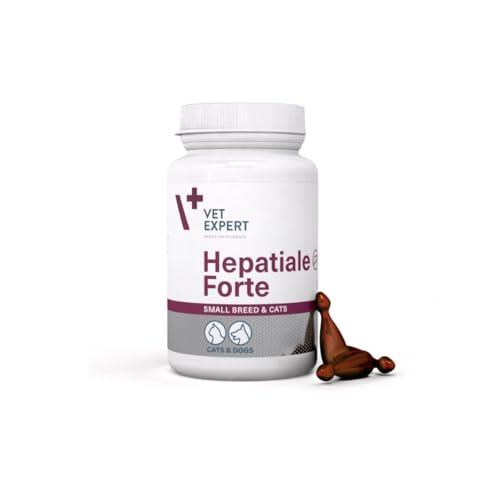 Protección Hepática Avanzada para Perros Pequeños y Gatos