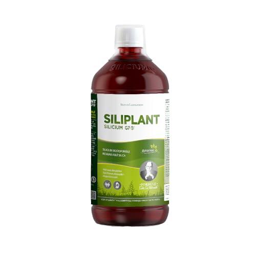 G7 Siliplant Silicio Líquido Bebible. Suplemento Natural de Cola de Caballo para Articulaciones Piel Uñas Pelo y Huesos Alta Absorción.