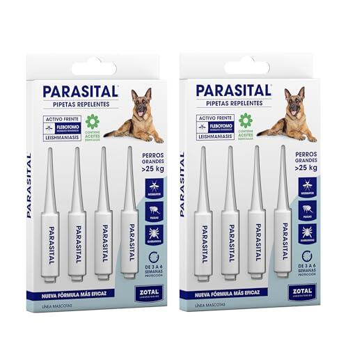 Guía Completa sobre Zotal Parasital para Perros Grandes: Protección y Cuidado Antiparasitario