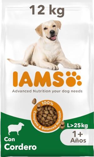 Nutrición Avanzada para Canes Grandes: Análisis del Alimento IAMS con Cordero
