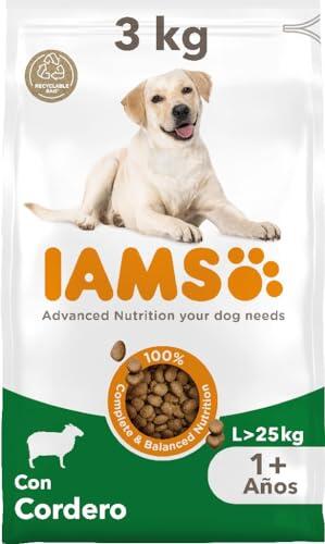 Nutrición especializada para perros de raza grande: Análisis del alimento IAMS con cordero