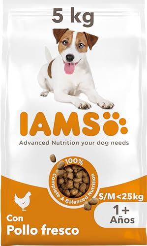 Nutrición Canina Avanzada: Análisis Completo del Pienso IAMS de Pollo para Razas Pequeñas y Medianas