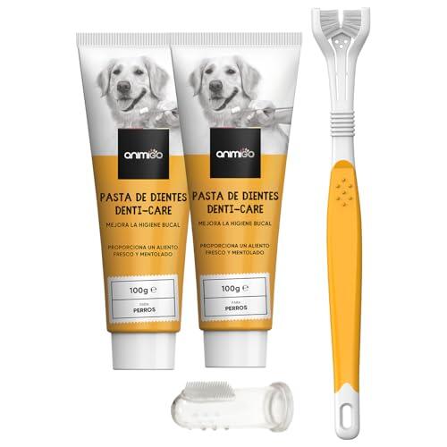 La guía definitiva para la higiene dental canina y el cuidado del aliento