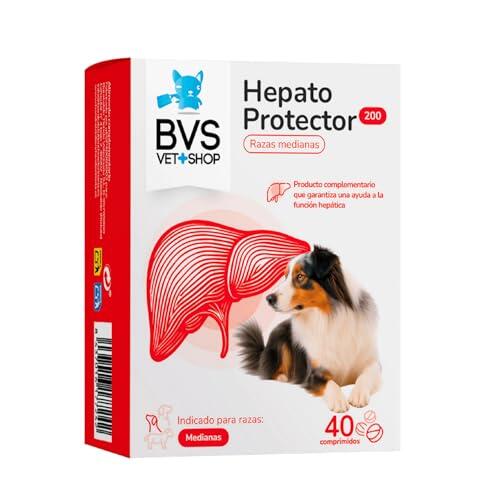 Cómo proteger y mejorar la función hepática en perros y grandes felinos