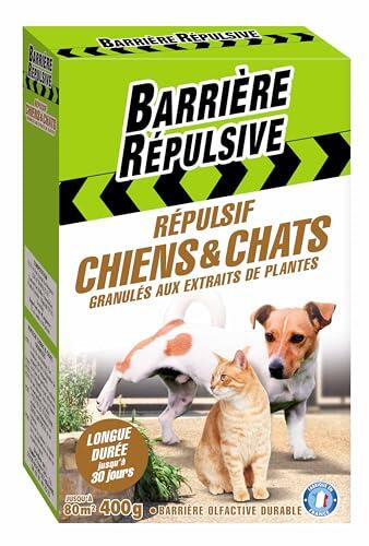 Cómo mantener alejados a perros y gatos de tu jardín de forma eficaz