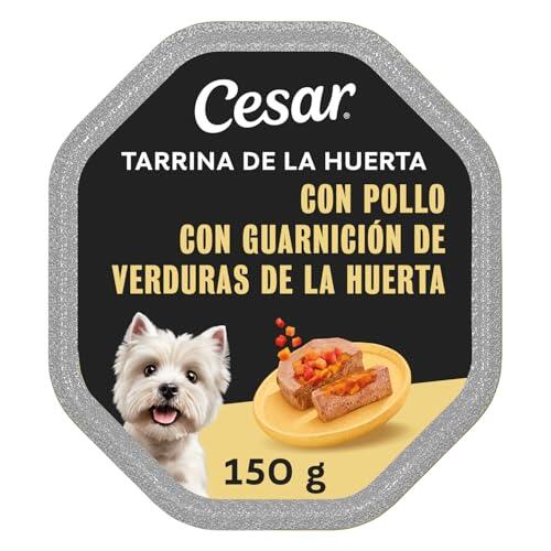 El secreto mejor guardado para consentir a tu perro con sabor y nutrición