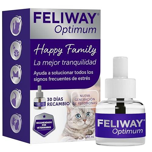Cómo calmar a tu gato y reducir el estrés en casa de forma efectiva