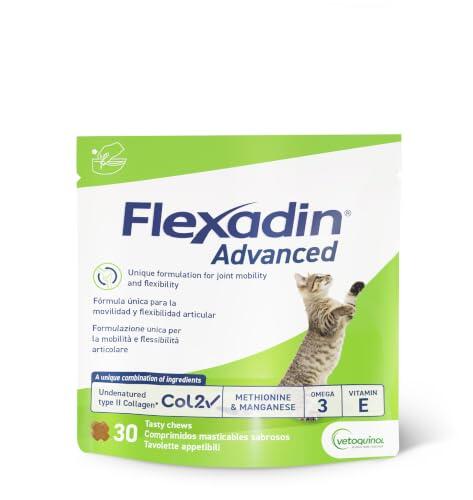 Cómo cuidar la movilidad de tu gato con osteoartritis y proteger sus articulaciones