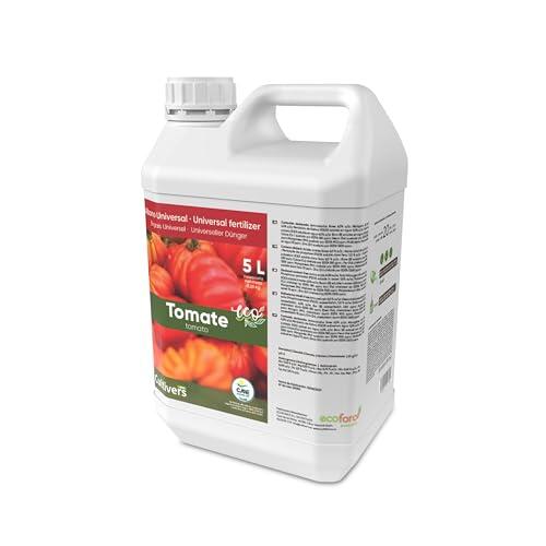 El secreto para cultivar tomates más sabrosos y naturales en tu propio huerto
